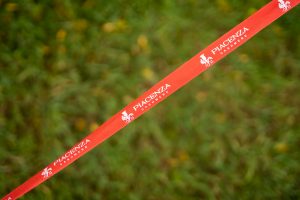 MSM_Golf_2024-Gardagolf-accoglienza-245