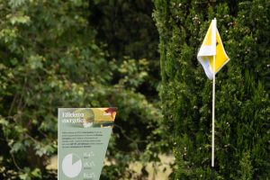 MSM_Golf_2024-Gardagolf-accoglienza-43