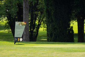 MSM_Golf_2024-Gardagolf-accoglienza-52