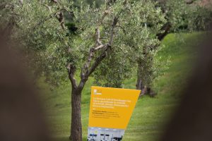 MSM_Golf_2024-Gardagolf-accoglienza-53